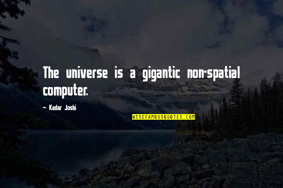 Being Ungracious Quotes By Kedar Joshi: The universe is a gigantic non-spatial computer.