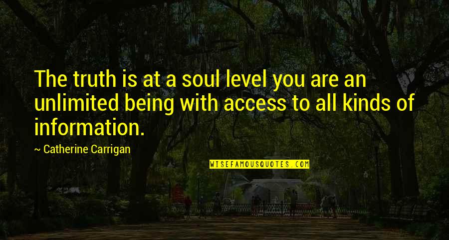 Being Unlimited Quotes By Catherine Carrigan: The truth is at a soul level you Being Unlimited Quotes By Catherine Carrigan: The truth is at a soul level you