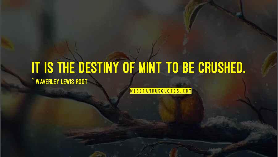 Being Unlucky Quotes By Waverley Lewis Root: It is the destiny of mint to be