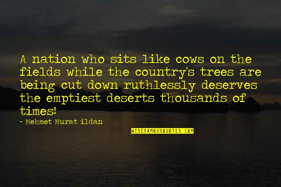 Being Up And Down Quotes By Mehmet Murat Ildan: A nation who sits like cows on the Being Up And Down Quotes By Mehmet Murat Ildan: A nation who sits like cows on the