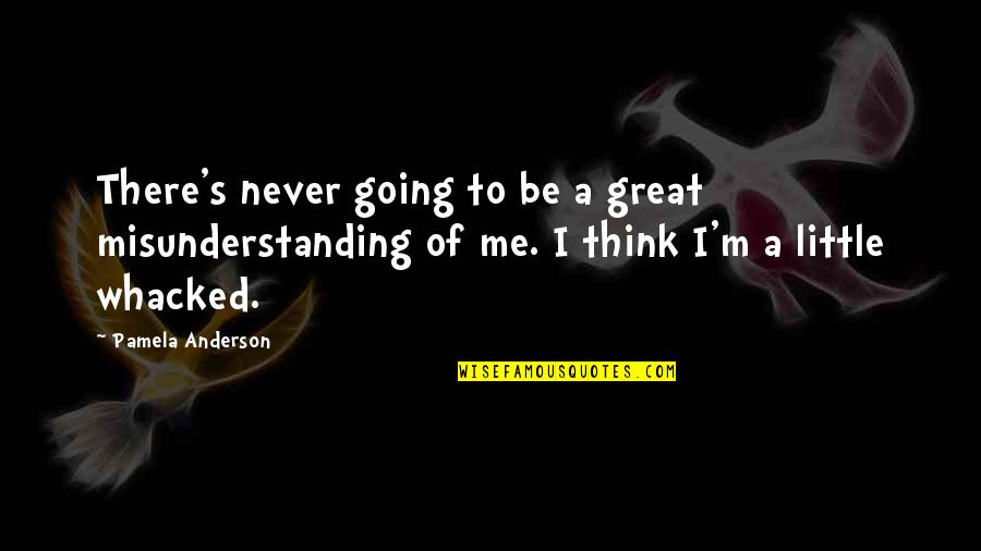 Being Used To Someone Quotes By Pamela Anderson: There's never going to be a great misunderstanding