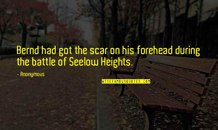 Being Uterus Quotes By Anonymous: Bernd had got the scar on his forehead