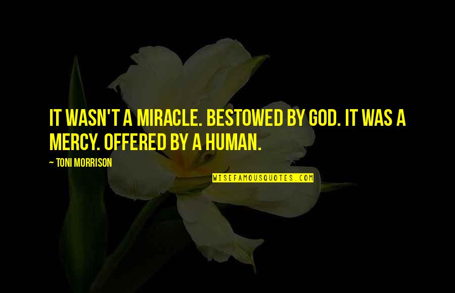 Being Victimised Quotes By Toni Morrison: It wasn't a miracle. Bestowed by God. It