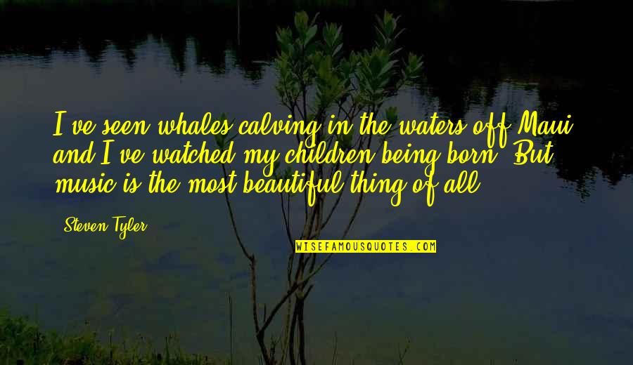 Being Watched Quotes By Steven Tyler: I've seen whales calving in the waters off Being Watched Quotes By Steven Tyler: I've seen whales calving in the waters off