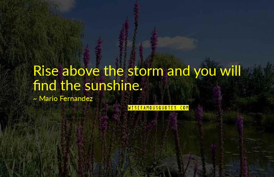 Being Weird And Crazy Tumblr Quotes By Mario Fernandez: Rise above the storm and you will find