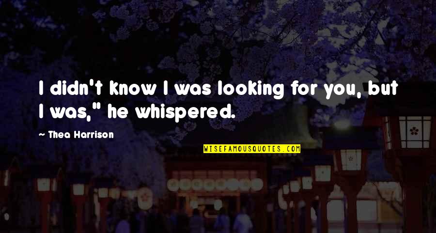 Being Welcomed Into Heaven Quotes By Thea Harrison: I didn't know I was looking for you,