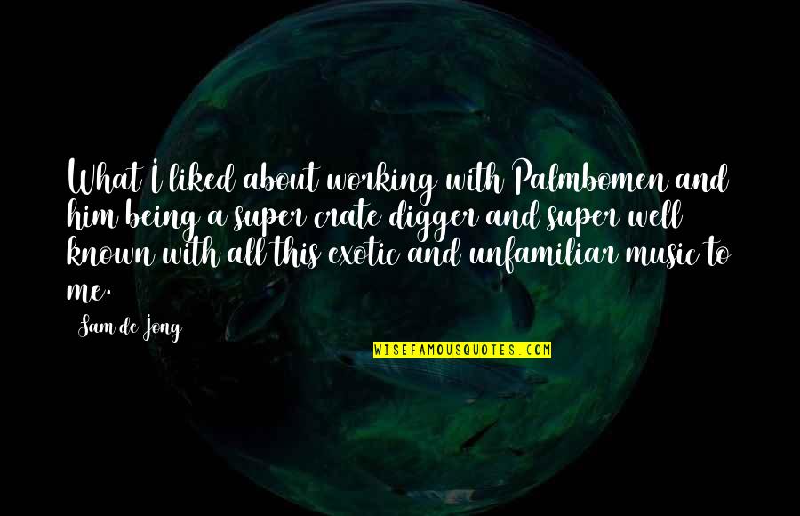 Being Well Liked Quotes By Sam De Jong: What I liked about working with Palmbomen and