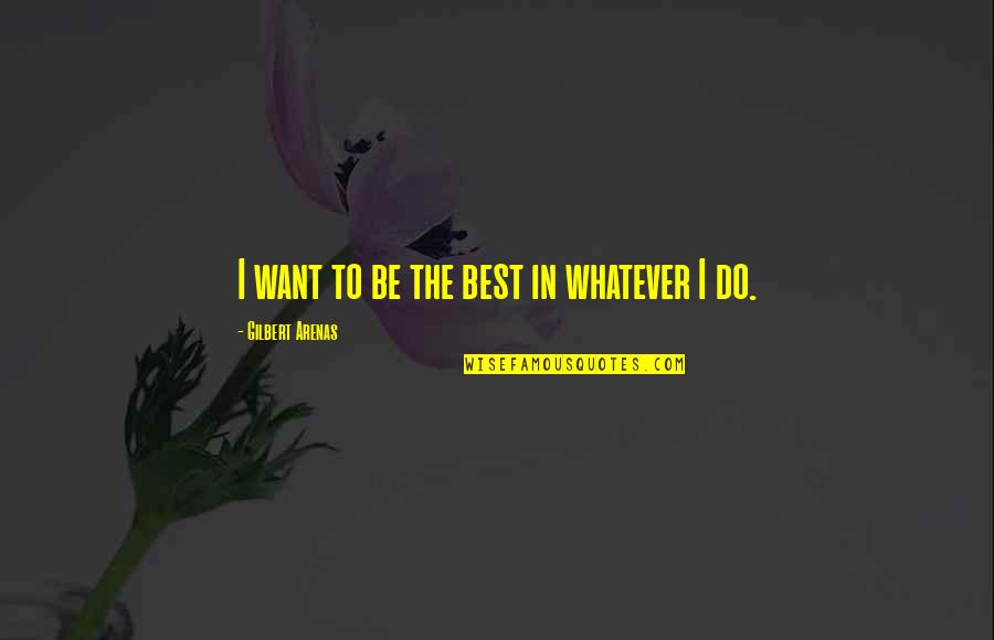 Being Whatever You Want Quotes By Gilbert Arenas: I want to be the best in whatever