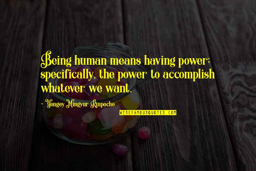 Being Whatever You Want Quotes By Yongey Mingyur Rinpoche: Being human means having power; specifically, the power