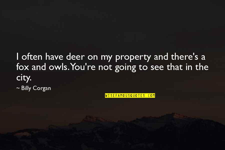 Being Who You Are And Not Caring Quotes By Billy Corgan: I often have deer on my property and