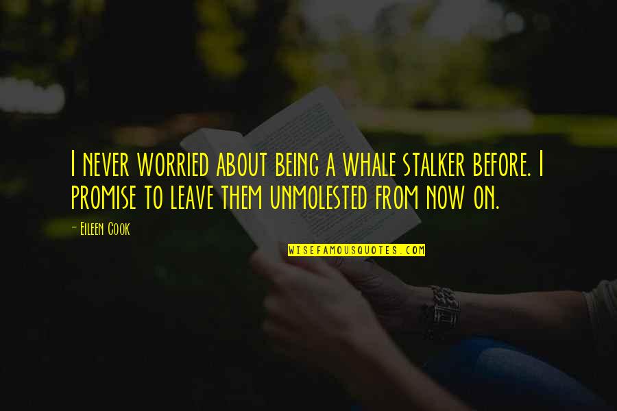 Being Worried Quotes By Eileen Cook: I never worried about being a whale stalker