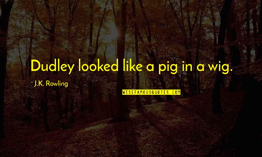 Being Worth Something To Someone Quotes By J.K. Rowling: Dudley looked like a pig in a wig.