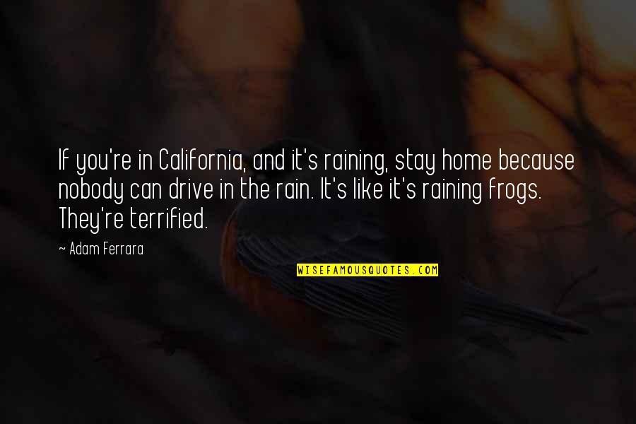 Being Wrapped In Love Quotes By Adam Ferrara: If you're in California, and it's raining, stay