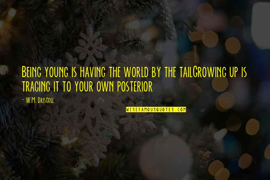 Being Young And Growing Up Quotes By W.M. Driscoll: Being young is having the world by the