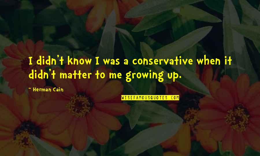 Being Young And Having Fun Quotes By Herman Cain: I didn't know I was a conservative when