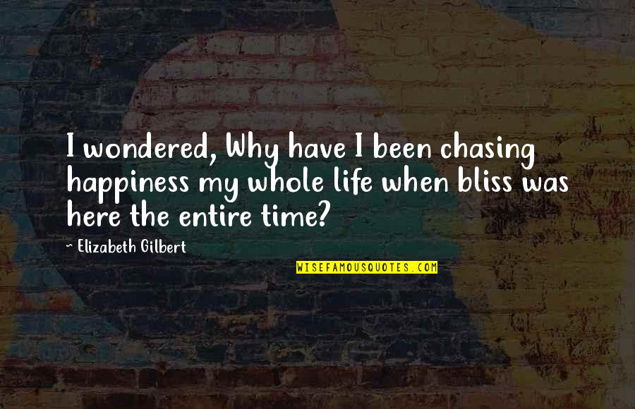 Being Your Crazy Self Quotes By Elizabeth Gilbert: I wondered, Why have I been chasing happiness