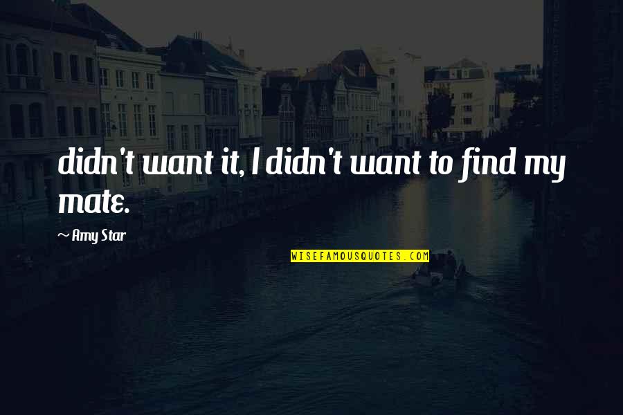 Beingslk Quotes By Amy Star: didn't want it, I didn't want to find