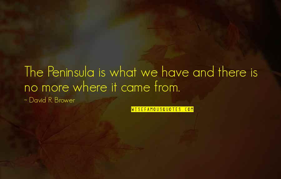 Beisser Grimes Quotes By David R. Brower: The Peninsula is what we have and there Beisser Grimes Quotes By David R. Brower: The Peninsula is what we have and there