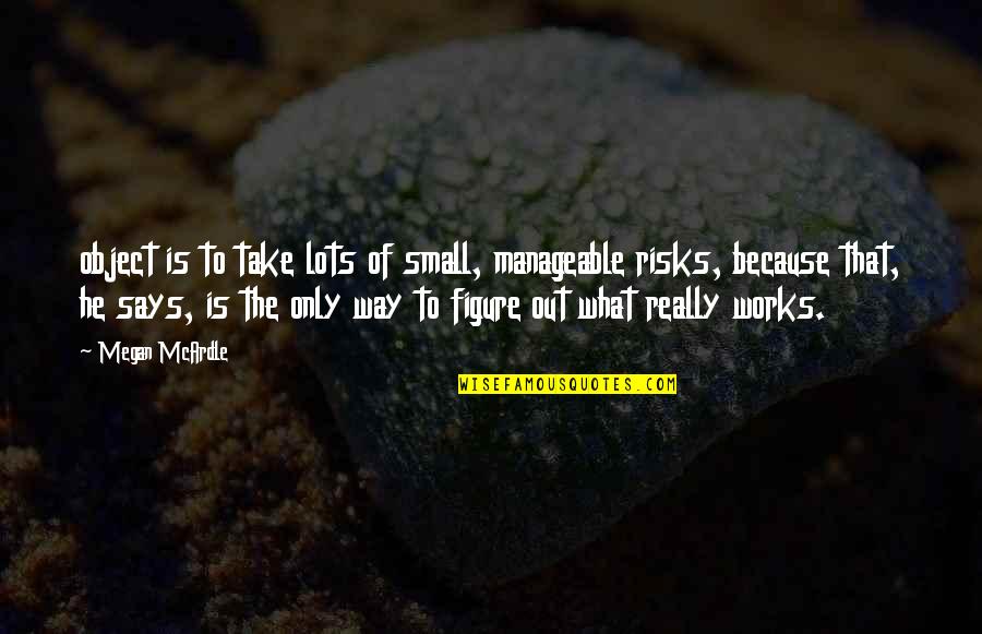 Beistegui Hermanos Quotes By Megan McArdle: object is to take lots of small, manageable Beistegui Hermanos Quotes By Megan McArdle: object is to take lots of small, manageable