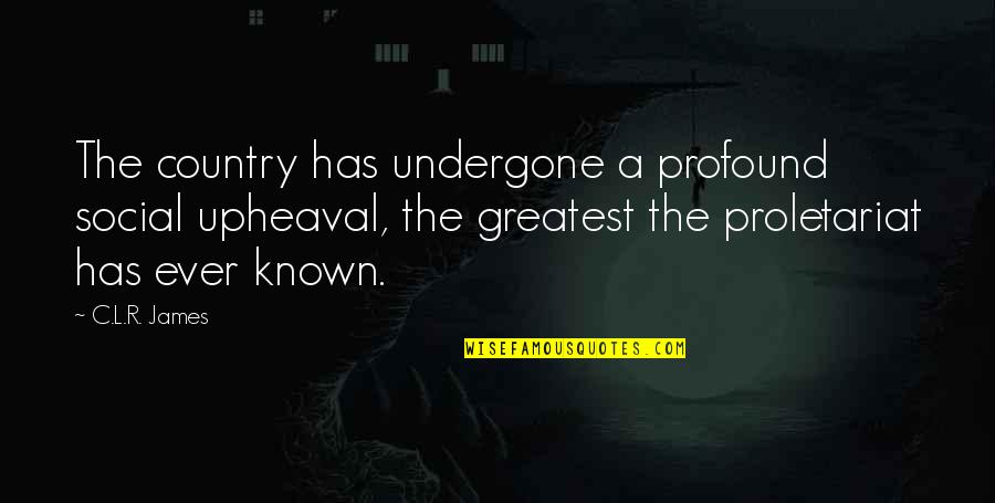 Bekaert Fencing Quotes By C.L.R. James: The country has undergone a profound social upheaval, Bekaert Fencing Quotes By C.L.R. James: The country has undergone a profound social upheaval,