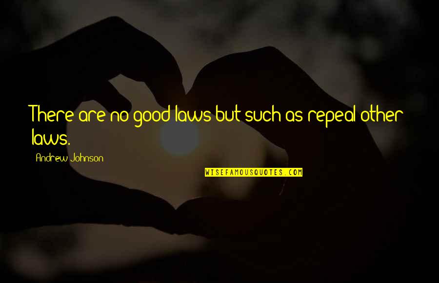 Bekommen Perfekt Quotes By Andrew Johnson: There are no good laws but such as
