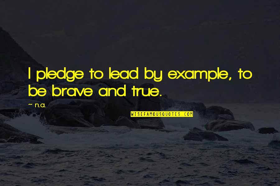 Bela Karolyi Inspirational Quotes By N.a.: I pledge to lead by example, to be