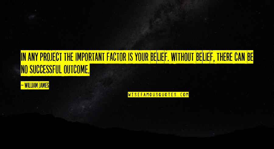 Belardo Lights Quotes By William James: In any project the important factor is your Belardo Lights Quotes By William James: In any project the important factor is your