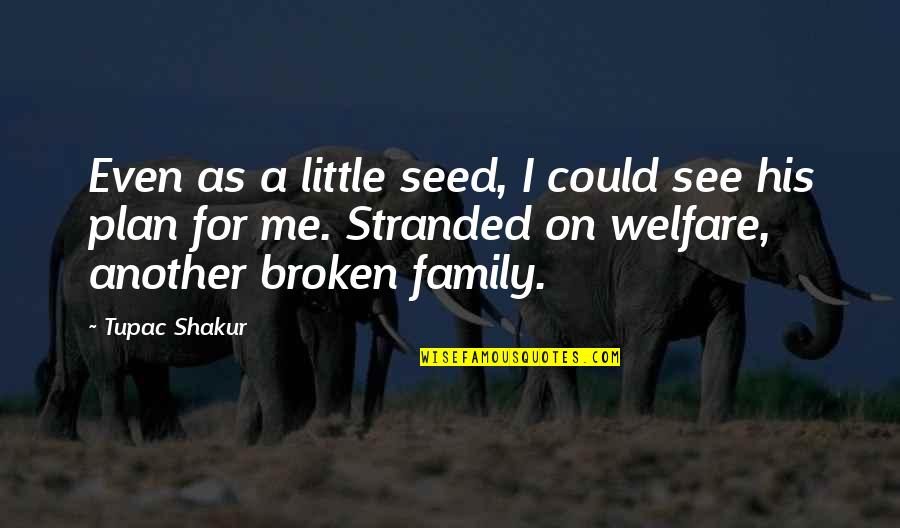 Belauded Quotes By Tupac Shakur: Even as a little seed, I could see