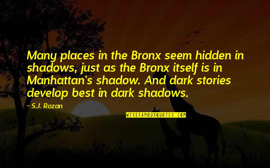 Beleidigung Auf Quotes By S.J. Rozan: Many places in the Bronx seem hidden in