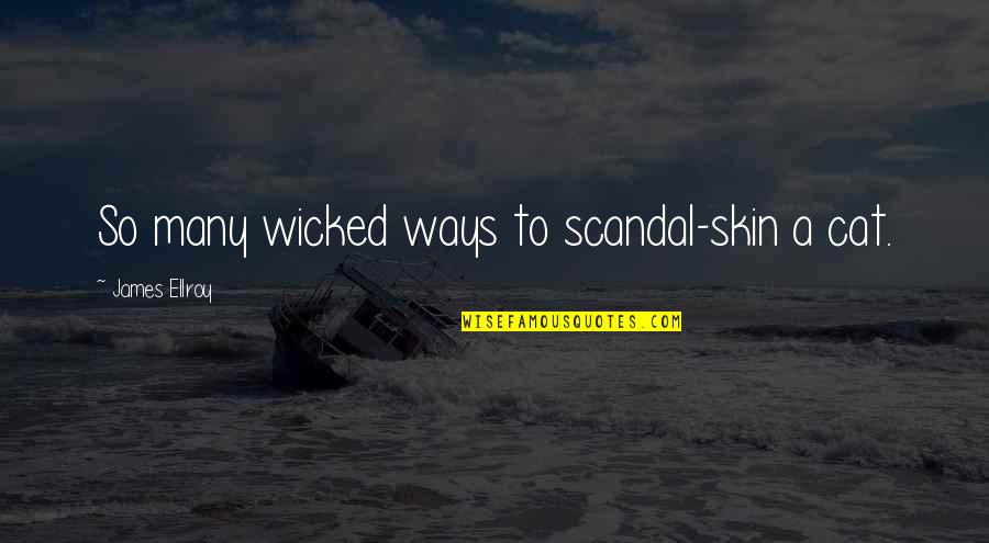 Beleidigung Quotes By James Ellroy: So many wicked ways to scandal-skin a cat. Beleidigung Quotes By James Ellroy: So many wicked ways to scandal-skin a cat.