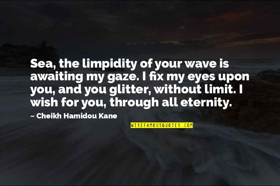Belgian Waffles Quotes By Cheikh Hamidou Kane: Sea, the limpidity of your wave is awaiting