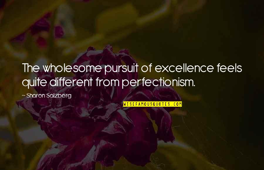 Belgium Quotes By Sharon Salzberg: The wholesome pursuit of excellence feels quite different