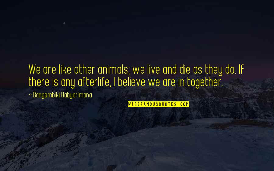 Belief In Religion Quotes By Bangambiki Habyarimana: We are like other animals; we live and