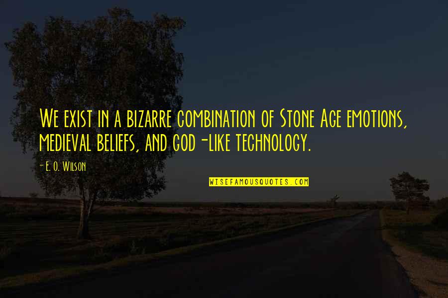 Beliefs In God Quotes By E. O. Wilson: We exist in a bizarre combination of Stone