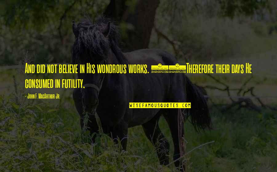 Believe For The Works Quotes By John F. MacArthur Jr.: And did not believe in His wondrous works. Believe For The Works Quotes By John F. MacArthur Jr.: And did not believe in His wondrous works.