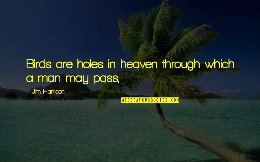 Believe In God Brainy Quotes By Jim Harrison: Birds are holes in heaven through which a