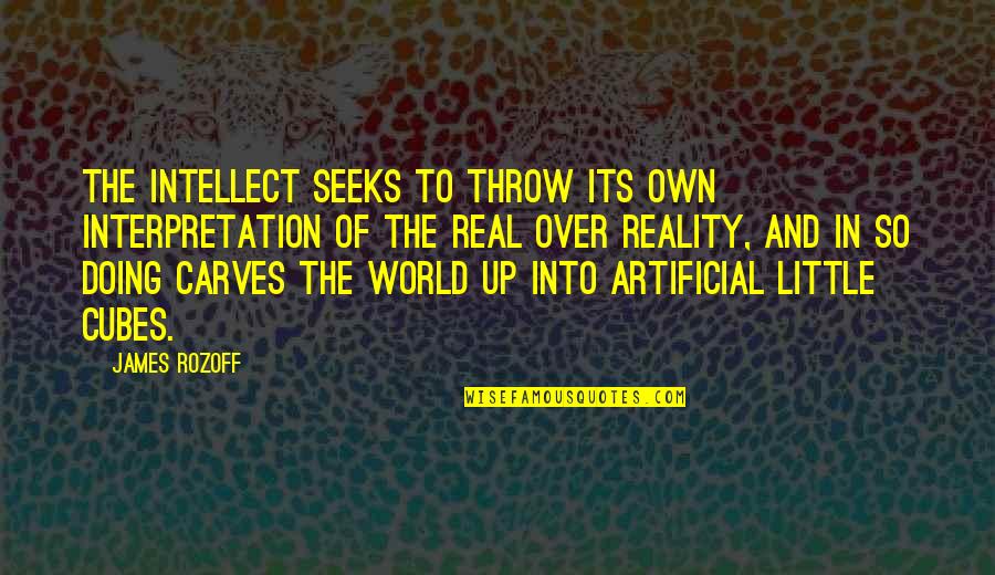 Believe In God One Line Quotes By James Rozoff: The intellect seeks to throw its own interpretation Believe In God One Line Quotes By James Rozoff: The intellect seeks to throw its own interpretation