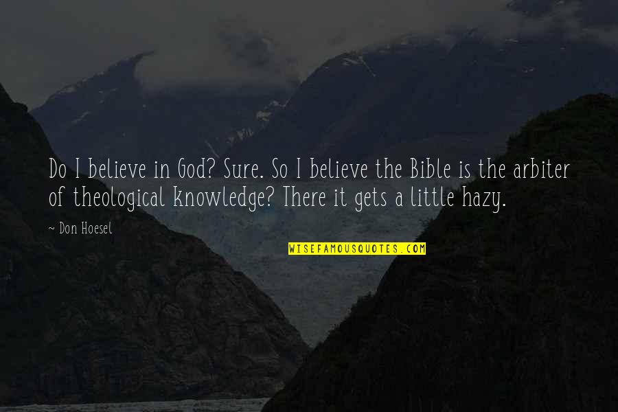 Believe In God Quotes By Don Hoesel: Do I believe in God? Sure. So I