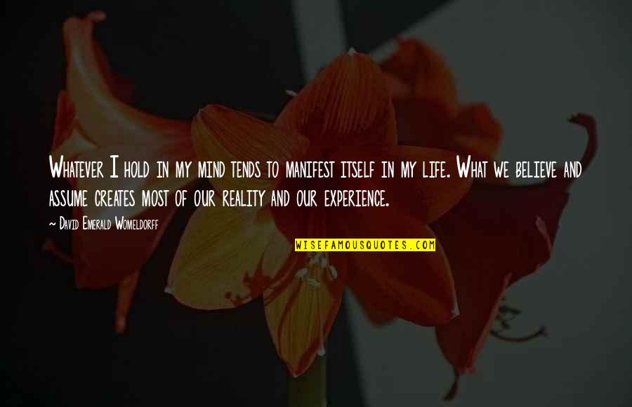 Believe In Reality Quotes By David Emerald Womeldorff: Whatever I hold in my mind tends to