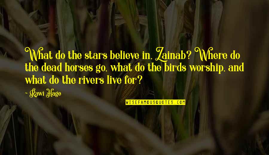 Believe In The Stars Quotes By Rawi Hage: What do the stars believe in, Zainab? Where