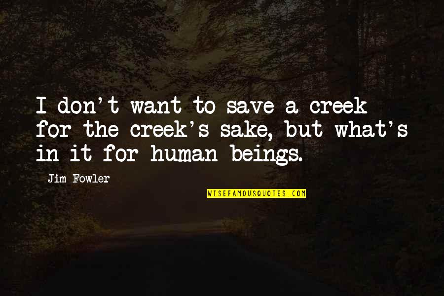 Believe In Yourself God Quotes By Jim Fowler: I don't want to save a creek for