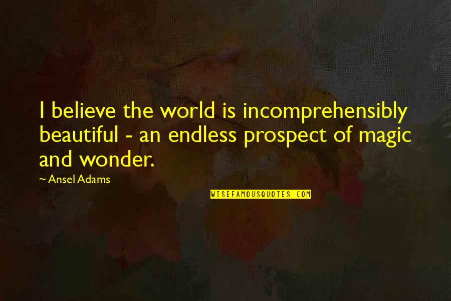Believe Magic Quotes By Ansel Adams: I believe the world is incomprehensibly beautiful -