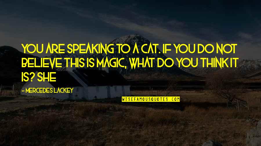 Believe Magic Quotes By Mercedes Lackey: You are speaking to a cat. If you