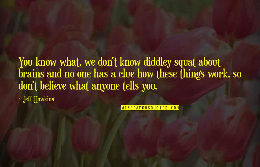 Believe No One Quotes By Jeff Hawkins: You know what, we don't know diddley squat Believe No One Quotes By Jeff Hawkins: You know what, we don't know diddley squat