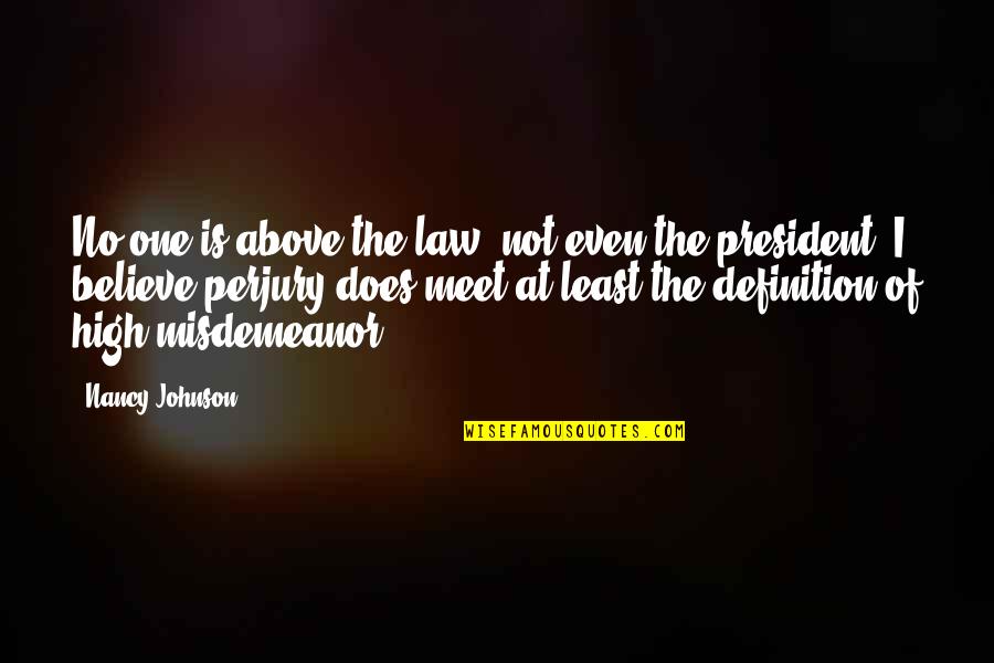 Believe No One Quotes By Nancy Johnson: No one is above the law, not even