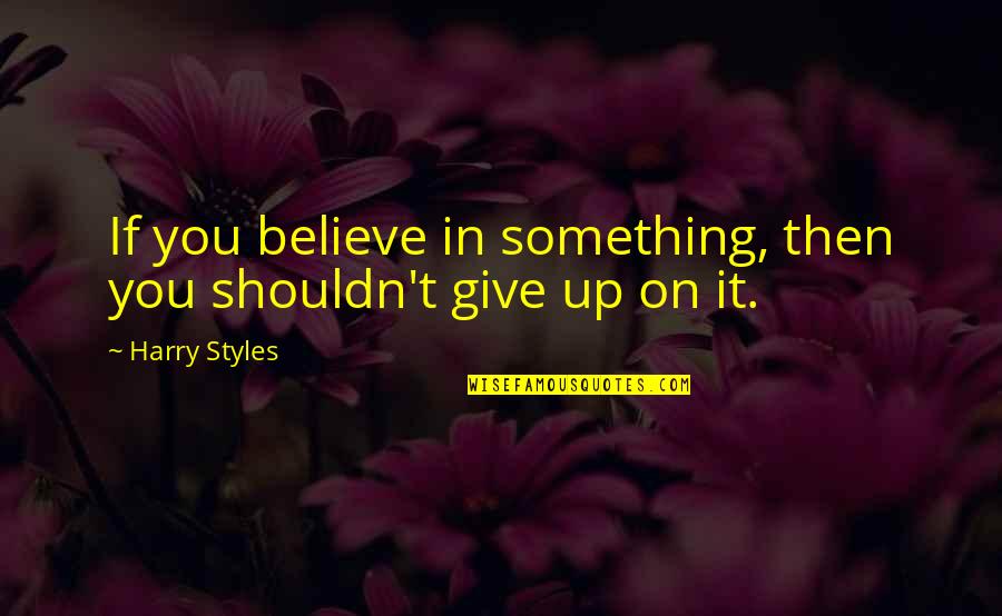 Believe On You Quotes By Harry Styles: If you believe in something, then you shouldn't