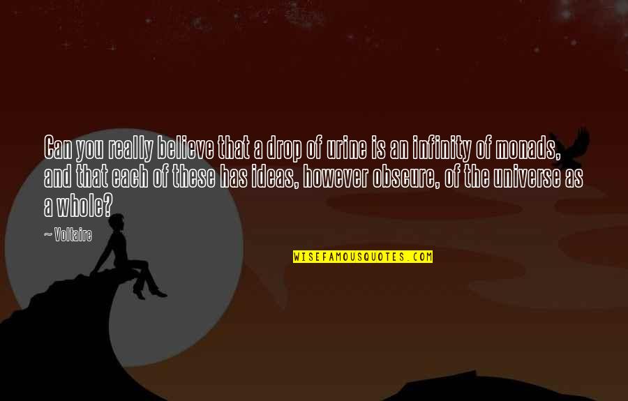 Believe That You Can Quotes By Voltaire: Can you really believe that a drop of Believe That You Can Quotes By Voltaire: Can you really believe that a drop of