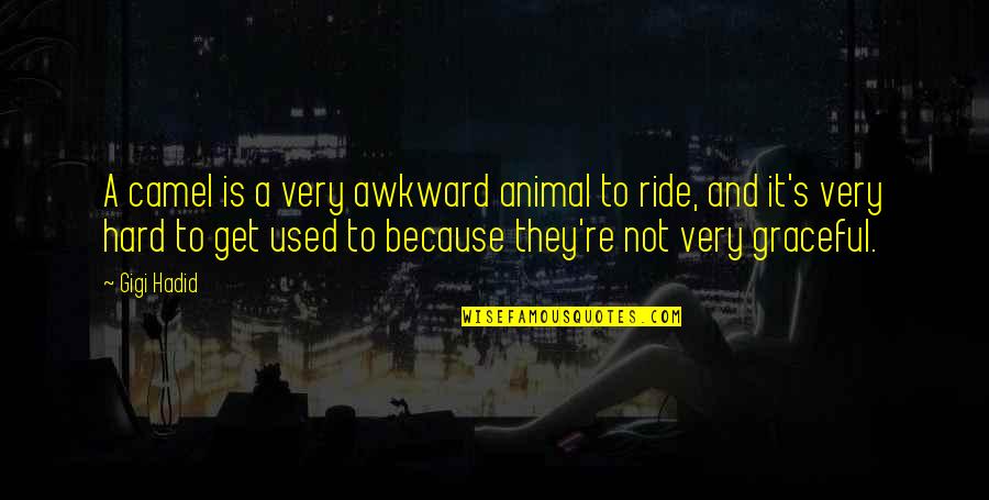 Believeng Quotes By Gigi Hadid: A camel is a very awkward animal to