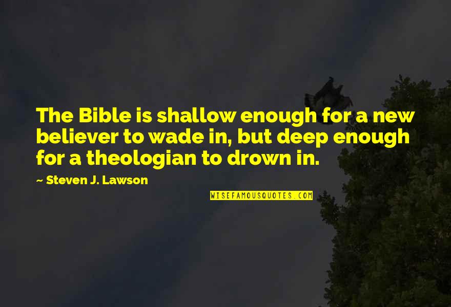 Believer Bible Quotes By Steven J. Lawson: The Bible is shallow enough for a new