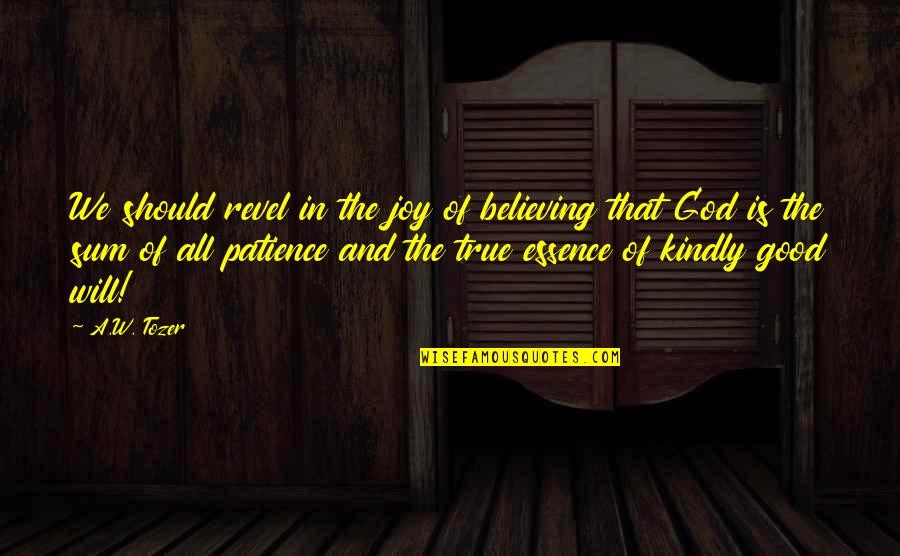 Believing In God Quotes By A.W. Tozer: We should revel in the joy of believing